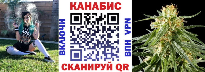 Бошки марихуана White Widow  сколько стоит  Щёлково 